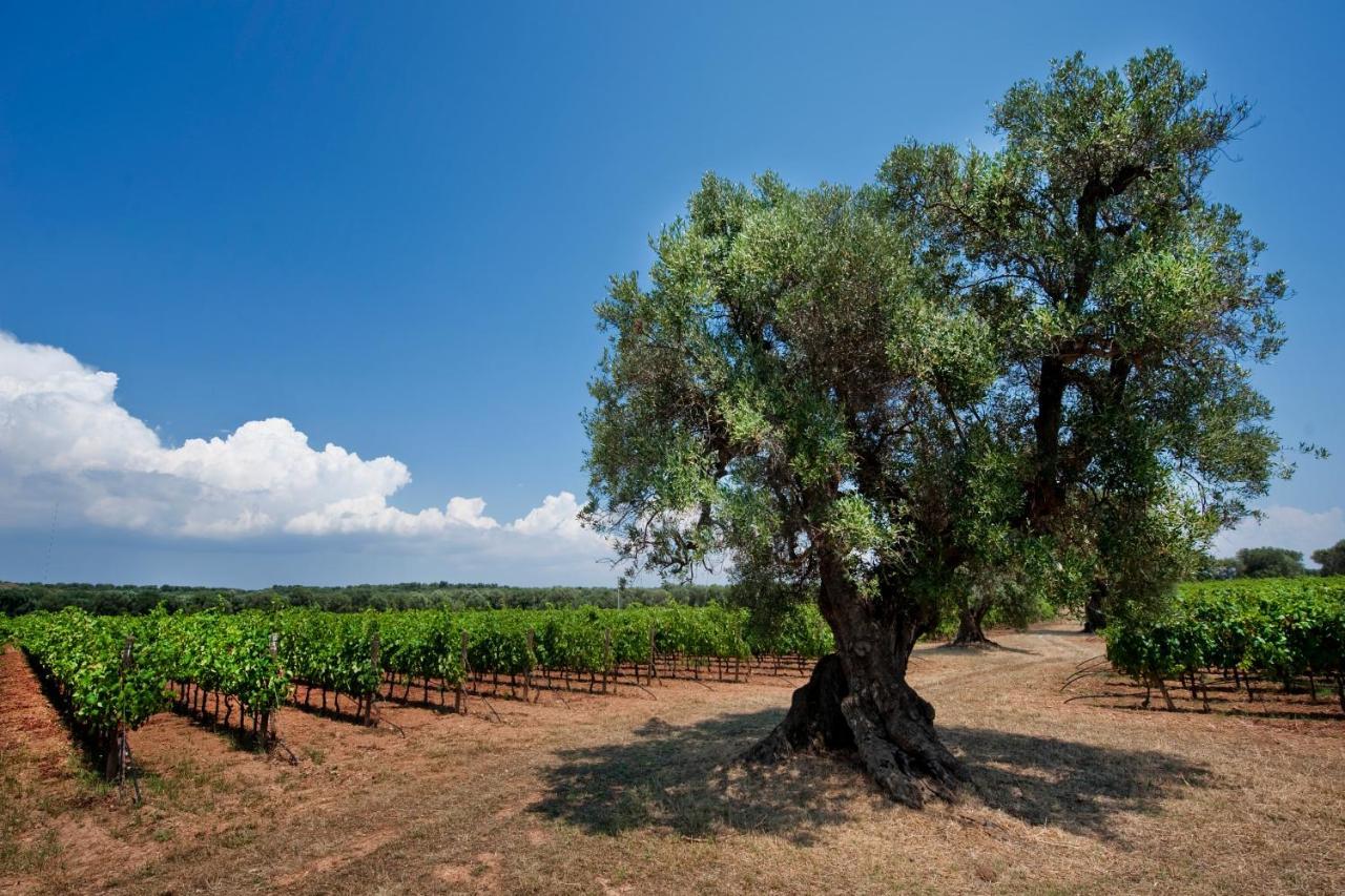 Masseria Le Fabriche Maruggio Εξωτερικό φωτογραφία