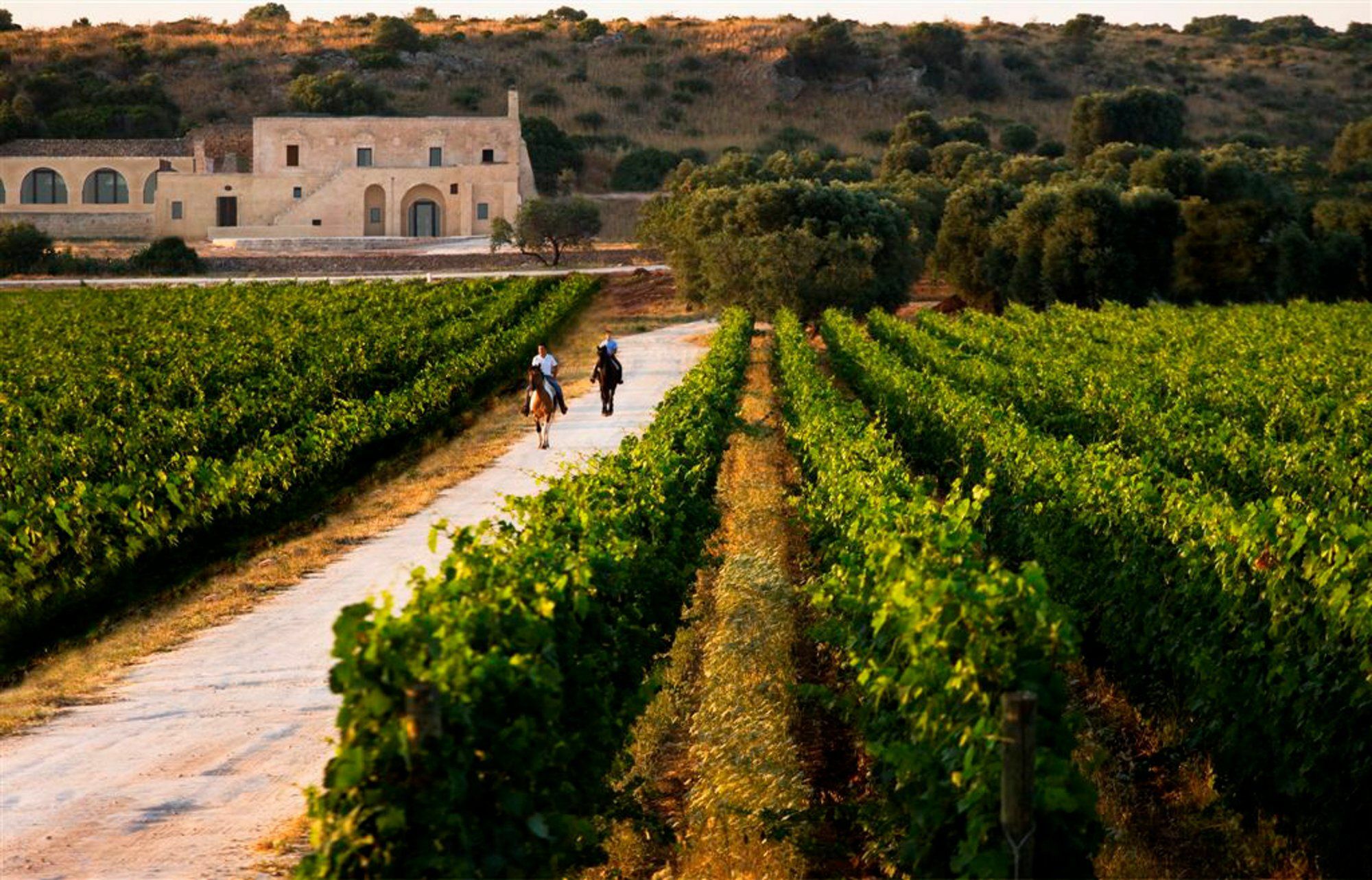 Masseria Le Fabriche Maruggio Εξωτερικό φωτογραφία